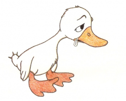 unhappy duck